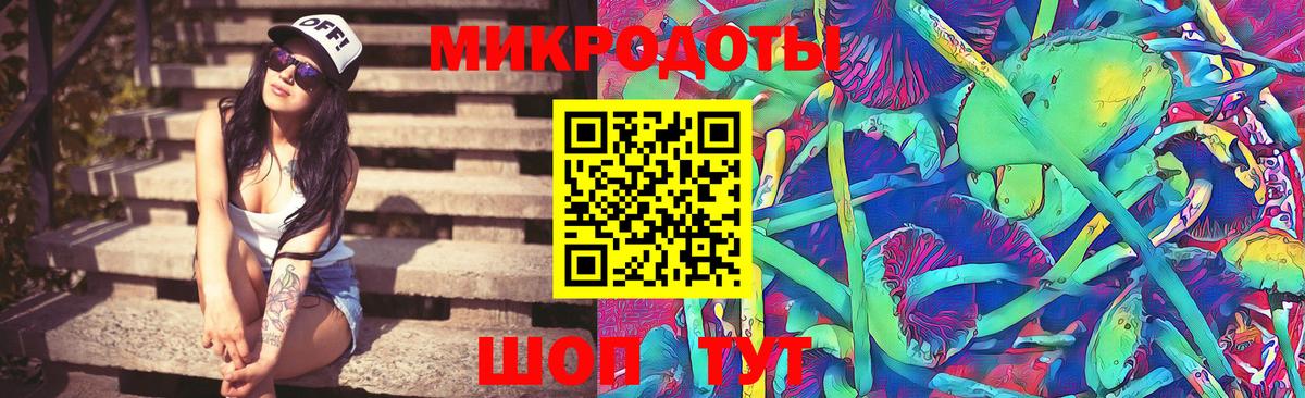 Саратов  Псилоцибиновые грибы Psilocybe  купить наркотики цена  Псилоцибиновые грибы GOLDEN TEACHER  Вход с VPN 